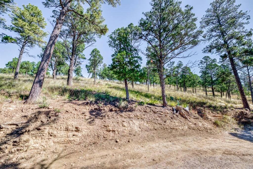 Perk Canyon Hidden Acres-Hot Tub-Gas Fireplace Ruidoso Exteriér fotografie